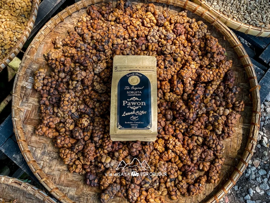 Foto ÷Kopi Luwak (Pawon Luwak Coffee)