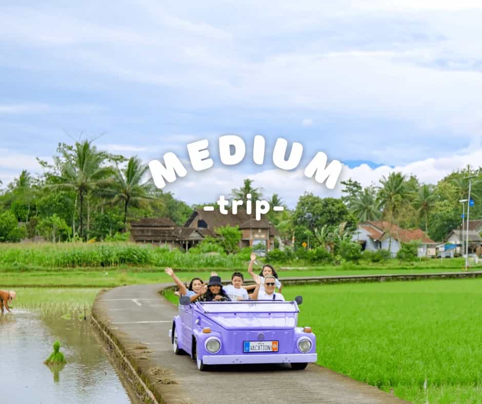 Foto Medium Trip